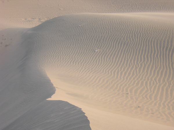 Besuch der Oase Huacachina